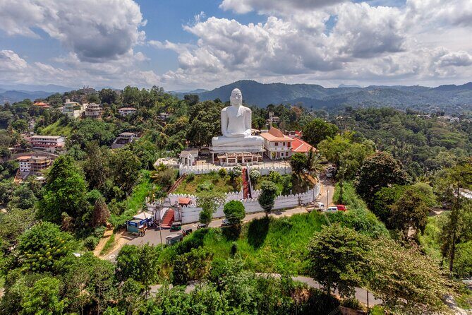 Kandy City Tour from Colombo - The Royal Botanical Gardens: A Verdant Sanctuary
