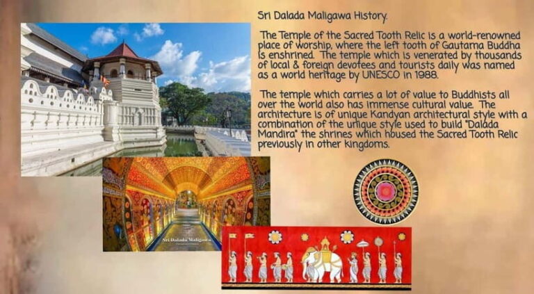 Kandy: City Tour with Temple of the Tooth & Tea Garden - Authentic Experiences and Authentic Guides