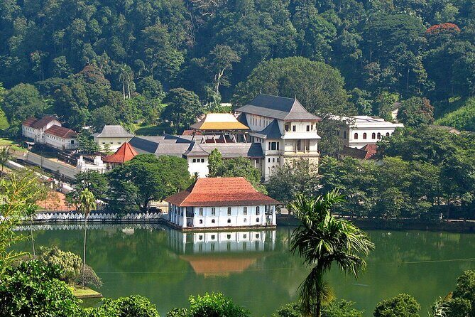 Kandy Day Trip with Tooth Relic Temple & Unique Attractions - Who Should Consider This Tour?
