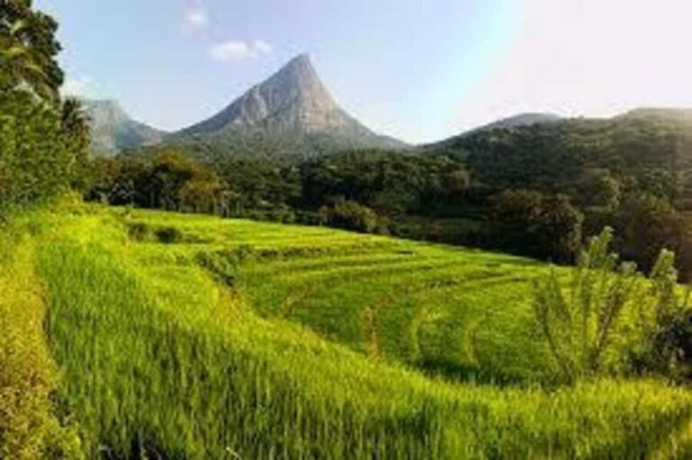 Kandy: Meemure Village Day Trip (Hidden Mountain Village) - An In-Depth Look at the Tour