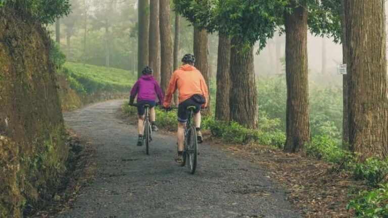 Kandy: Mountain Biking Tour around Knuckles - The Value of This Tour