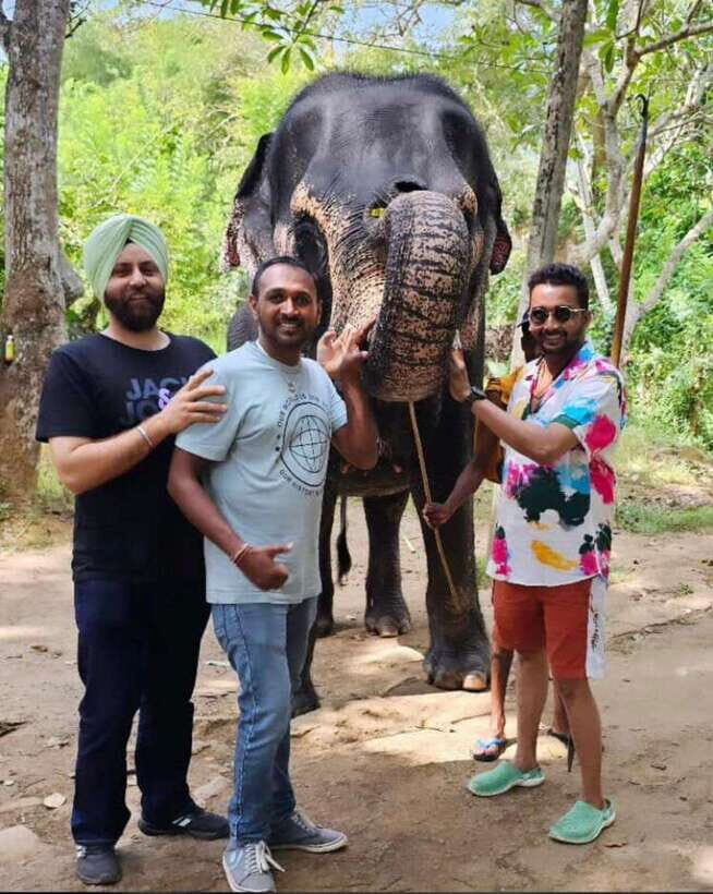 Kandy : Pinnawala Day Tour with Top Rated Local Guide - What You’ll Actually Experience