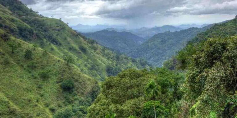 Kandy: Shanthipura and Nuwara Eliya - What Makes This Tour Stand Out?