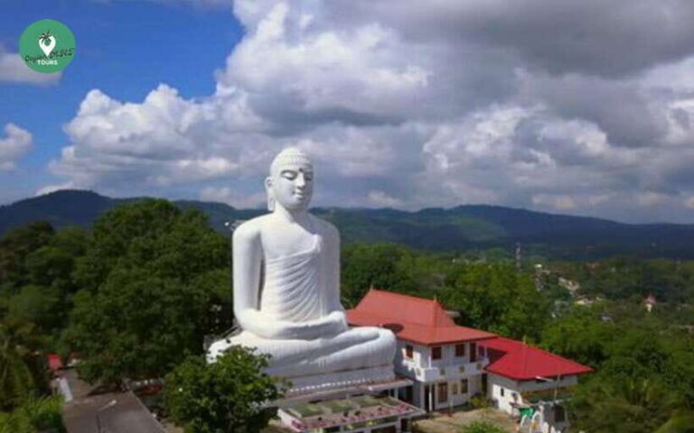 Kandy: Sightseeing WalkingTour Arround Kandy with LocalGuide - Exploring Kandy’s Highlights