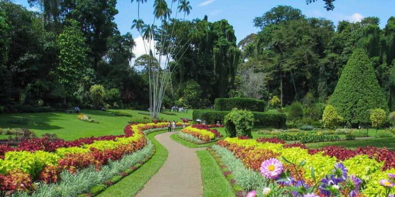Kandy: Temples, Gardens & Cultural Show City Highlights Tour - Additional Insights and Practical Details