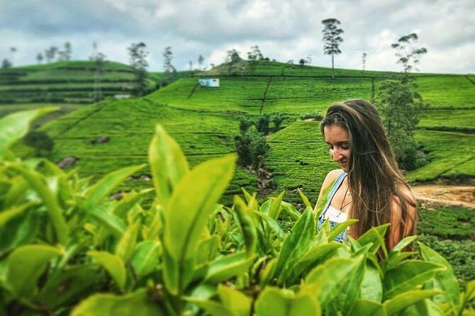 Kandy to Nuwara Eliya Day Tour - Practical Details and Tips
