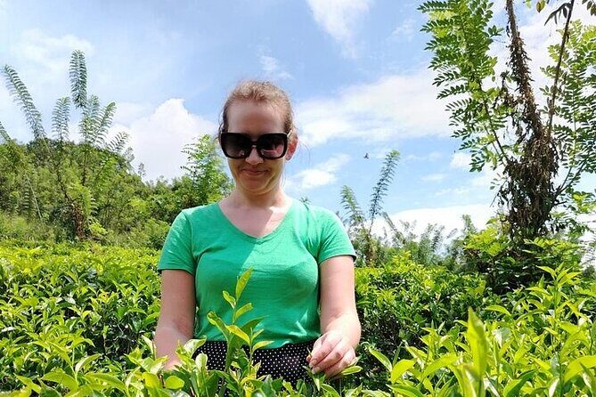 Kandy to Nuwara Eliya Private Day Tour: Tea Factory& Gregory Lake - The Scenic Drive and What to Expect