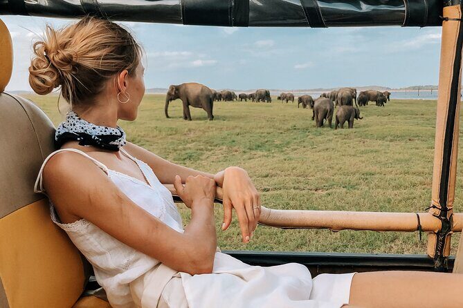 Kandy to Trincomalee Shuttle & Safari Drive - Why This Tour Works for Travelers