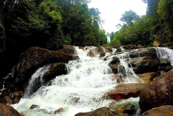 Kanneliya Rain Forest Tour - Detailed Breakdown of the Tour Experience