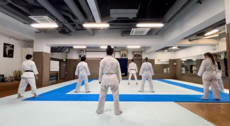 Karate Experience with the Shotokan Karate-do Instructor - The Real Value of This Karate Session