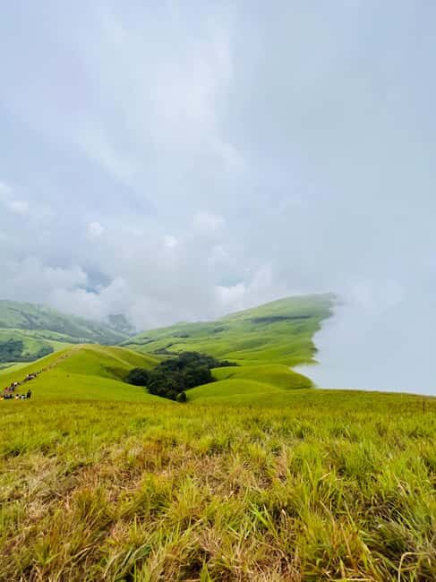 Karnataka: Western Ghats Trekking Adventure - Authenticity and Traveler Feedback