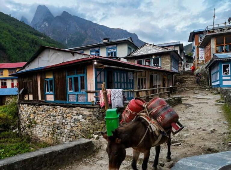 Kathmandu: 15-Day Everest Base Camp Trek with Guide - What Makes This Tour Stand Out?