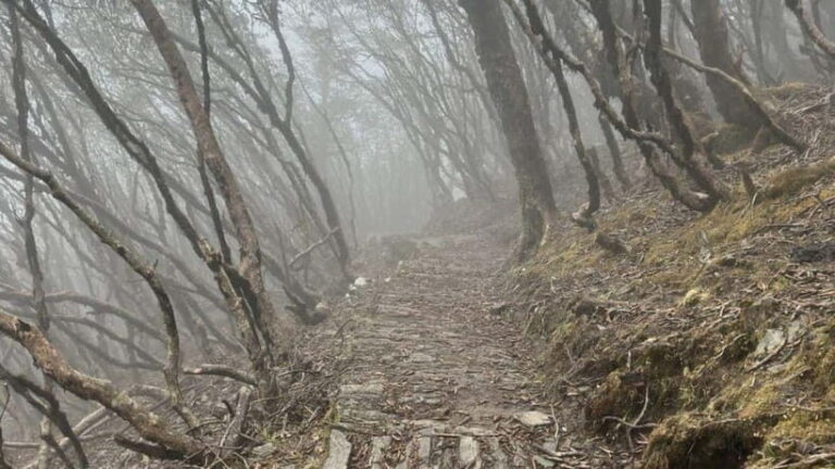 Kathmandu: 8-Day Pikey Hill Trek - The Experience of Staying in Teahouses