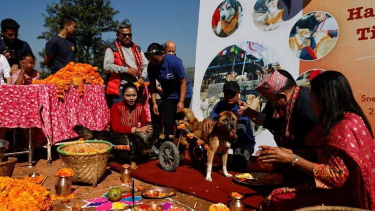 Kathmandu: Kukur Tihar Festival Tour with Local Family - What’s Included and What’s Not