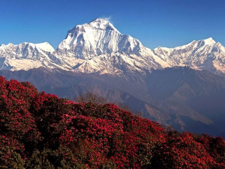 Kathmandu/Pokhara: 4-Day Mardi Himal Trek - The Itinerary in Detail