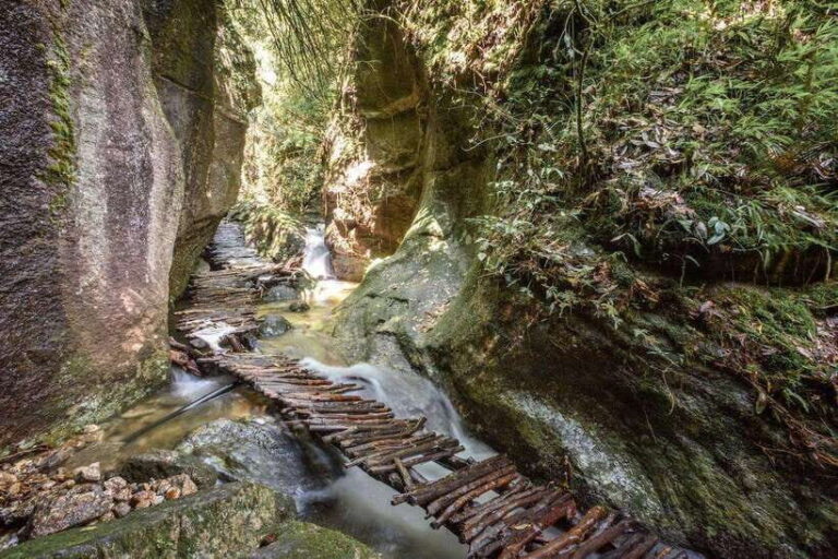 Kathmandu: Shivapuri Hill Day Hike with Lunch box - What to Expect on the Shivapuri Hill Day Hike