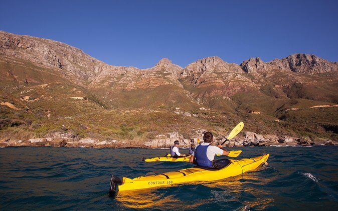 Kayak Chapman's Peak and Karbonkelberg in Hout Bay - What Do the Reviews Say?