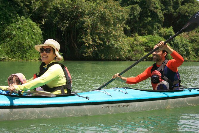 Kayak Mangroves or Coral Reef: private tour in north Okinawa - Authentic Experiences Highlighted by Travelers