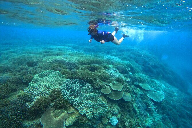 Kayak & Snorkel: private tour in Yanbaru, north Okinawa - Final Thoughts