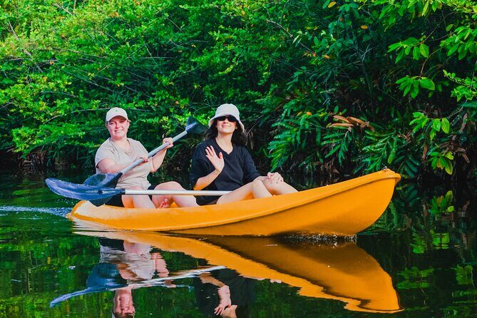 Kayaking Adventure on serene waters through mangroves, Akurala - The Experience Itself: What to Expect