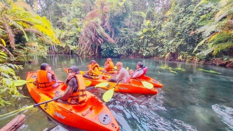 Kayaking and swiming klongrood - The Itinerary: What You Can Expect