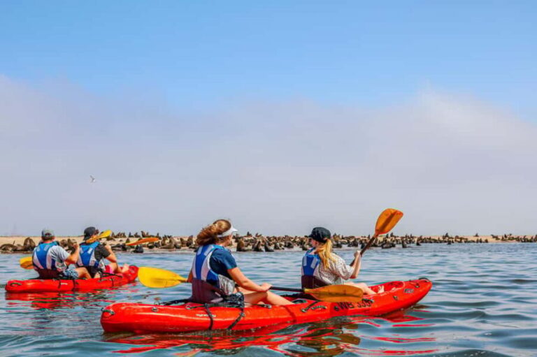 Kayaking Combo with Beach Braai - Seal Paddling at Pelican Point