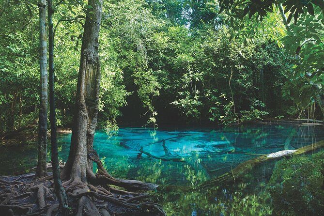 Kayaking in Ao Thalane - Discover the Mangrove life - The Experience: What Travelers Say