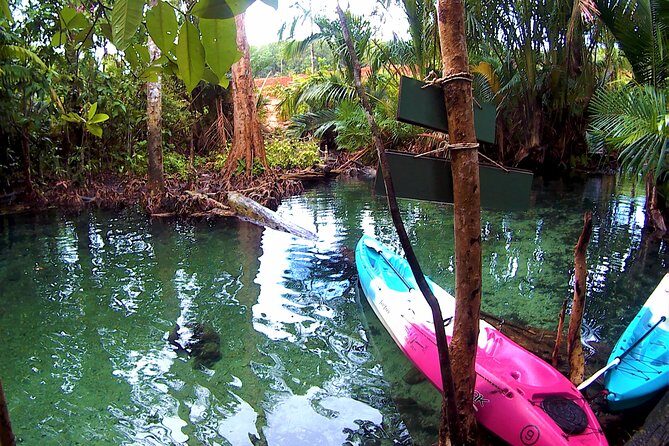Kayaking in Hidden Freshwater Lagoon, Unseen Krabi Trip - The Experience of Swimming and Relaxing