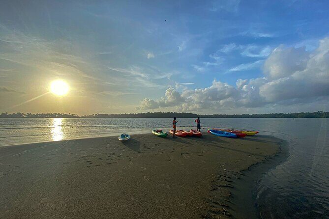 Kayaking in Mangrove Forest of Paravur Backwaters near Varkala and Kollam - A Deep Dive into the Paravur Backwaters Kayaking Tour