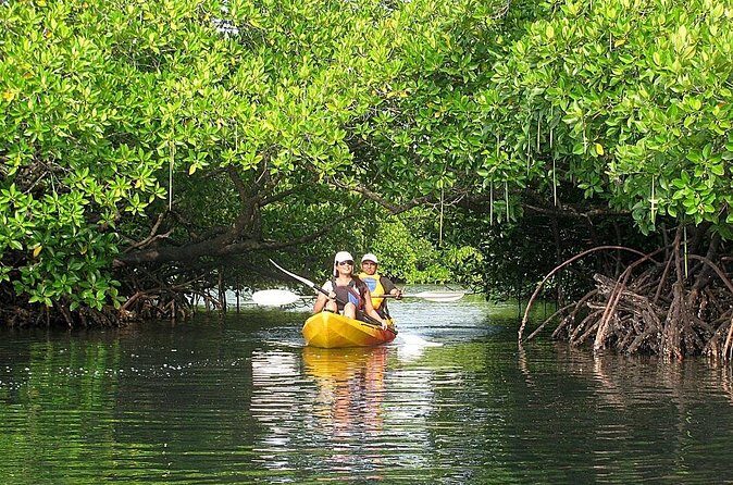 Kayaking Mangrove Adventure at Havelock - Final Thoughts