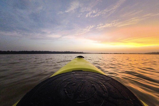 Kayaking to the Black Devil Snail Sandbar Island in Paravur Lake near Varkala - Authentic Experience and Genuine Value