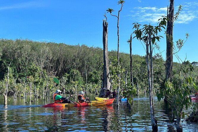 Kayaking Tour at Klong Root (Crystal Lake), Krabi - Exploring the Itinerary: What to Expect