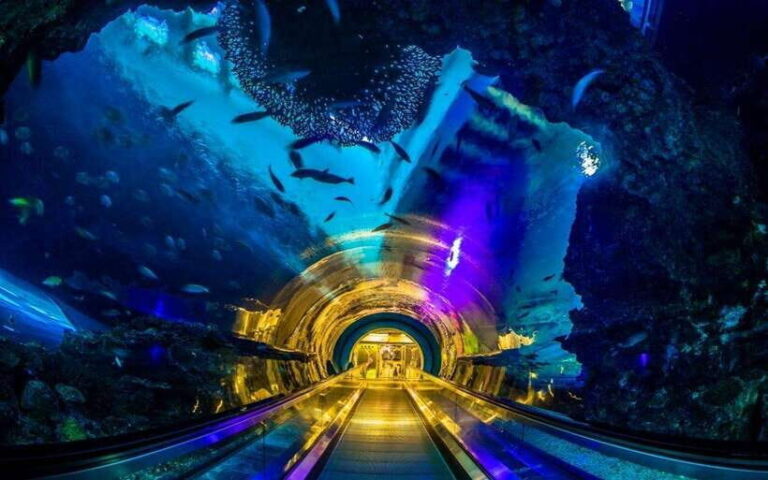 Kenting: National Museum of Marine Biology & Aquarium - Final Thoughts: Who Should Visit?