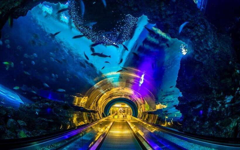 Kenting: National Museum of Marine Biology & Aquarium - Final Thoughts: Who Should Visit?