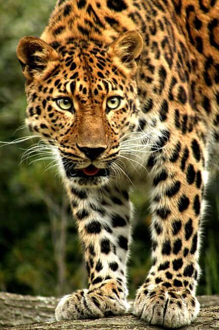 Kenya: 6-Day Camping Safari Group Joining - What You Can Expect From the Itinerary