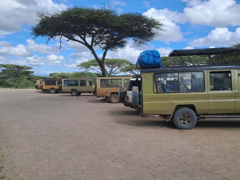 Kenya: 6-Day Safari to Masai Mara, Lake Nakuru, & Amboseli - Final Thoughts