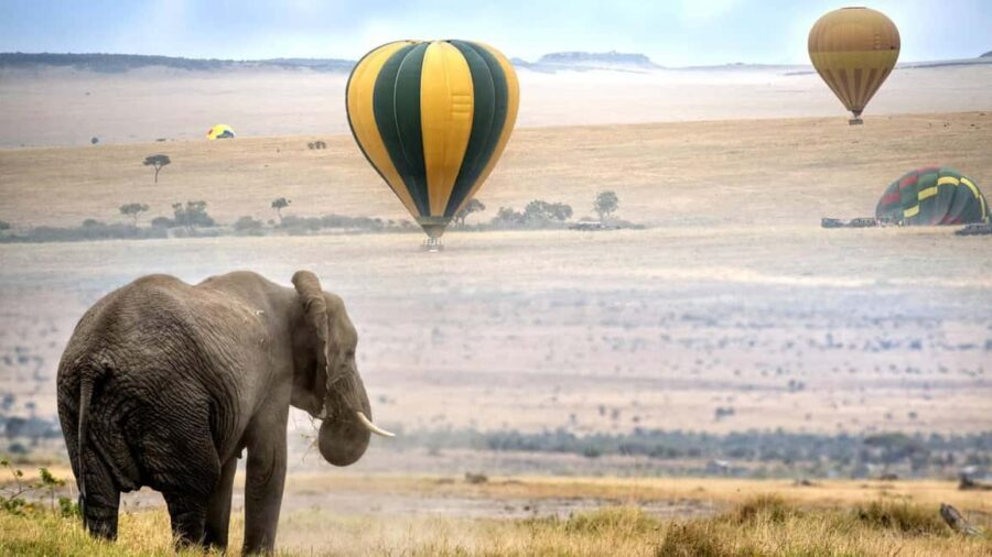 Kenya: 7-Day Masai Mara, Lake Nakuru, and Samburu Safari - Detailed Breakdown of the Itinerary