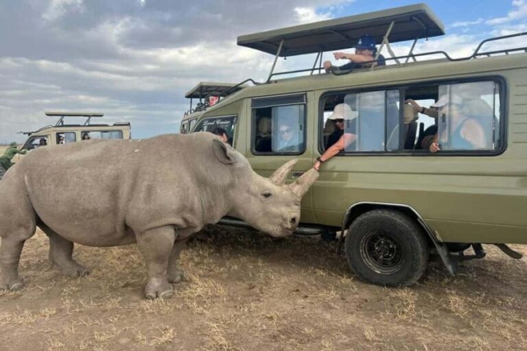 Kenya: 8-Day Mid-Range Safari - All Inclusive - What’s Included and What’s Not