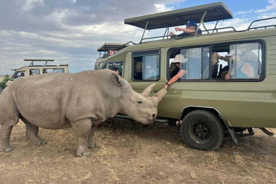 Kenya: 8-Day Mid-Range Safari - All Inclusive - What’s Included and What’s Not