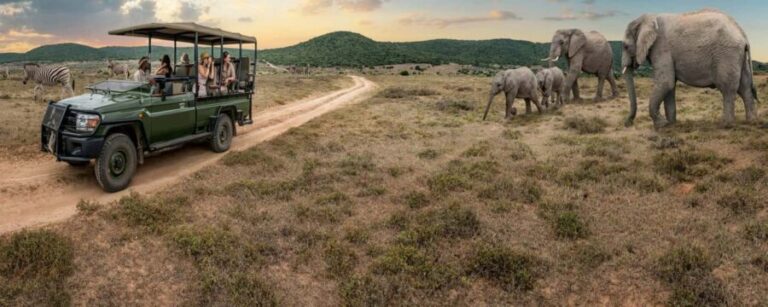 Kenya, Tanzania, Uganda, Rwanda, and Burundi: 25-Day Tour - The Value of This Tour