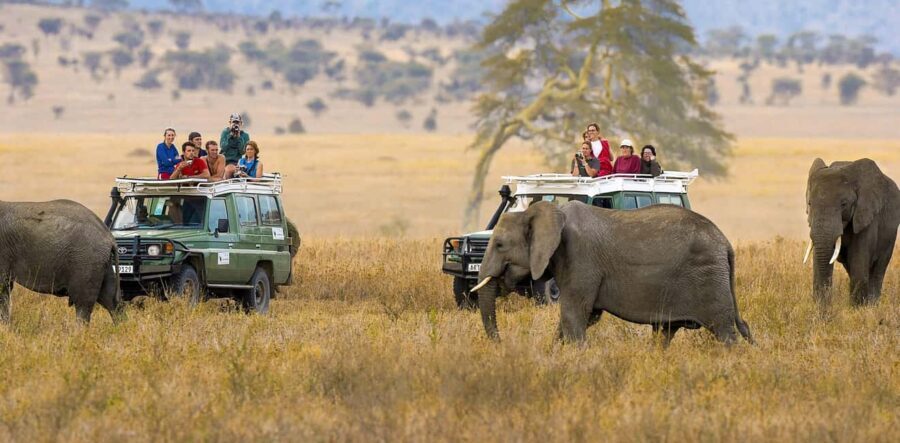 Kenya Wildlife Safari and Diani Beach Holiday- 14 Days Tour - What Makes This Tour Stand Out?