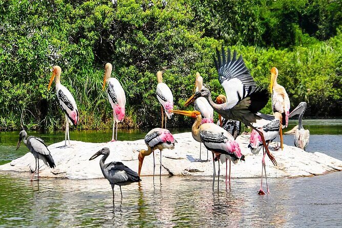Keoladeo Birds Park Tour From Agra To Jaipur Including Entry - FAQ