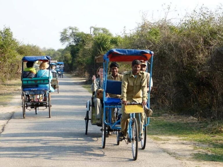 Keoladeo National Park Tickets and Guided Tour - Who Should Consider This Tour?