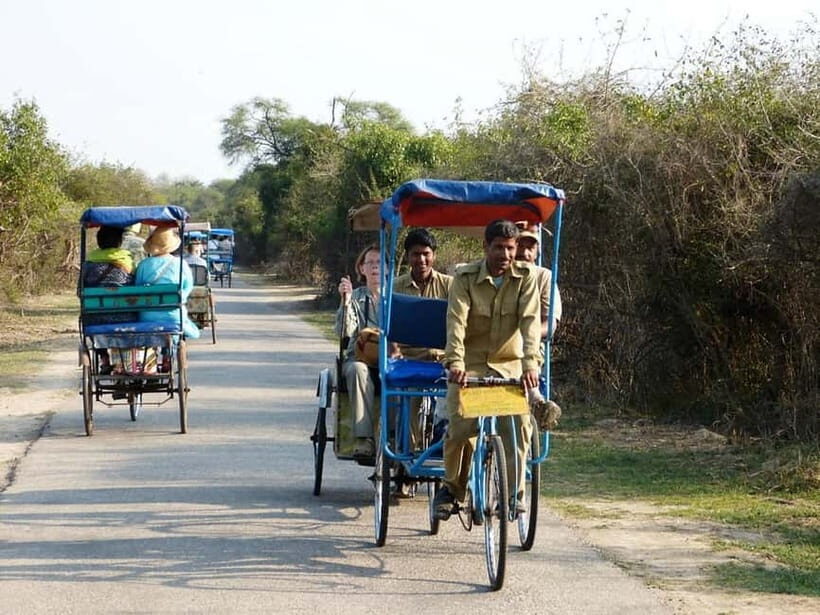 Keoladeo National Park Tickets and Guided Tour - Who Should Consider This Tour?