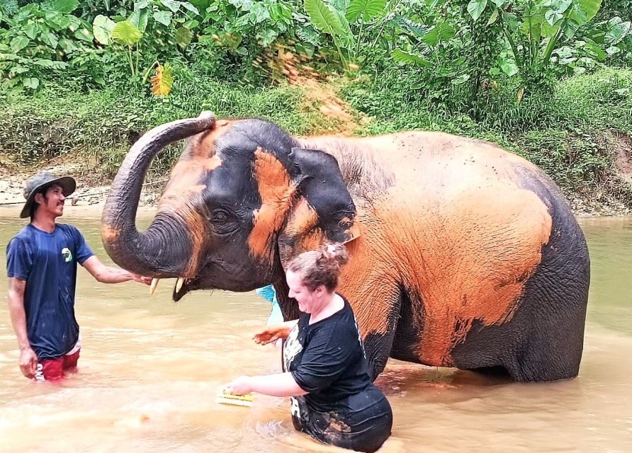 Khao Lak: Elephant Sanctuary Guided Tour - The Sum Up