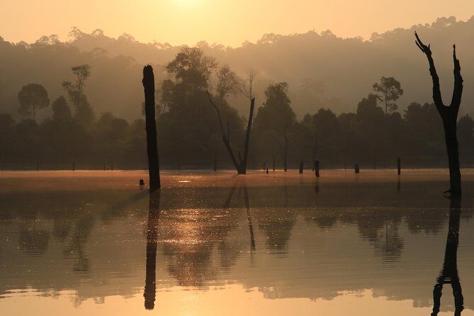Khao Sok Wildlife 2 Days - Transportation and Group Dynamics