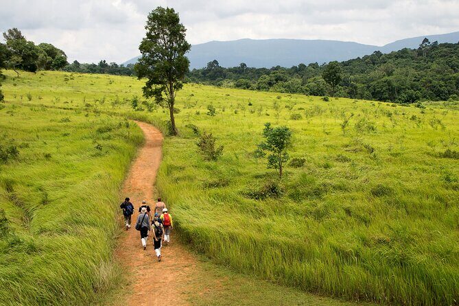 Khao Yai National Park Full Day - A Deep Dive into the Experience