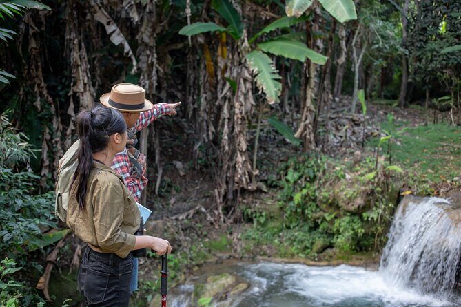 Khaolak Elephant Sanctuary, Cooking Class and Waterfall Tour - The Personal Touch: Guides and Authentic Experiences