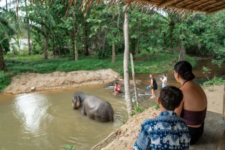 Khaolak: Elephant Sanctuary Guided Tour with Hotel Transfers - The Itinerary Breakdown