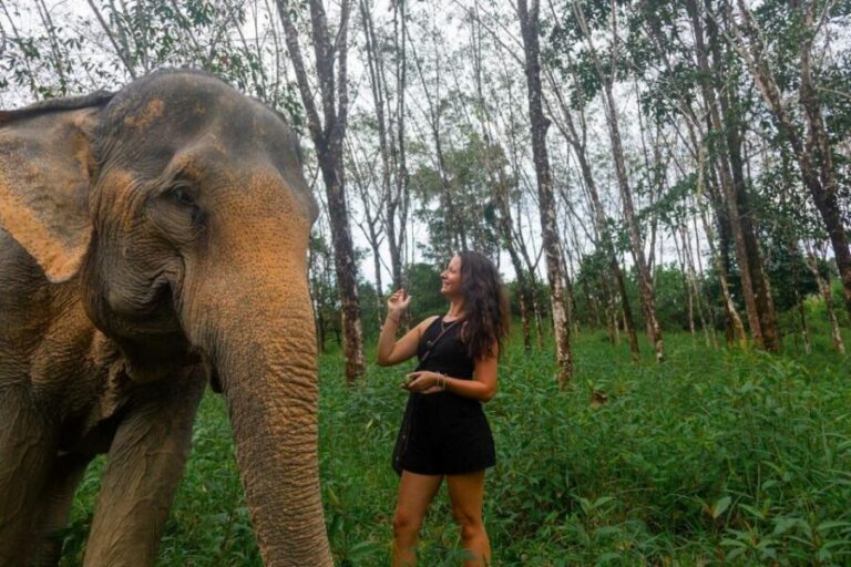 Khaolak: Sunset Elephant Walk with Complimentary Cocktail - Why This Tour Is a Good Value